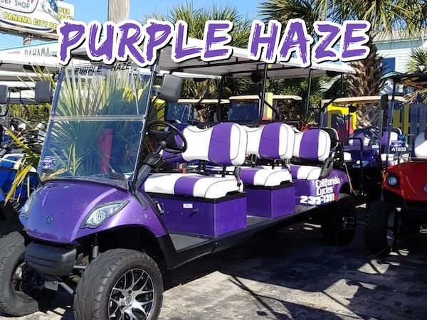 golf-carts-purple-chase